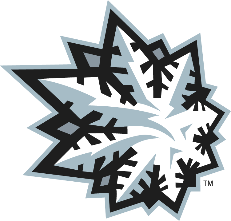 Green Bay Blizzard 2010-2014 Alternate Logo iron on transfers for T-shirts